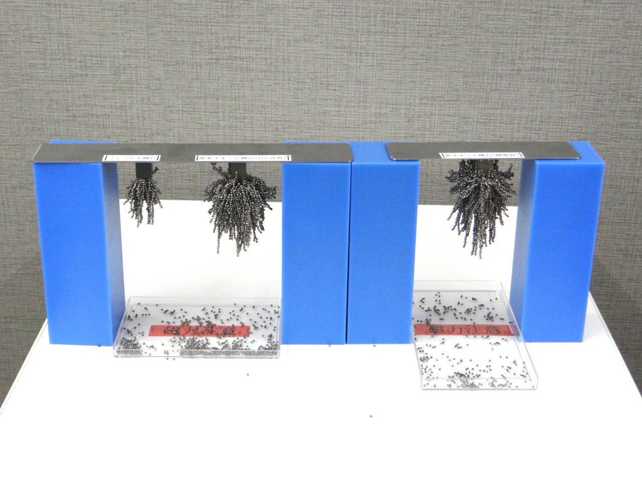 左からフェライト磁石、従来のネオジム磁石（ディスプロシウム含有）、今回開発したネオジム磁石