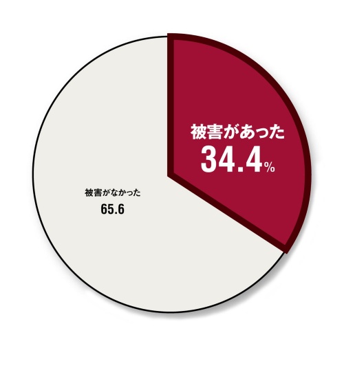 情報漏洩や業務停止などの被害はあったか(n=32)※