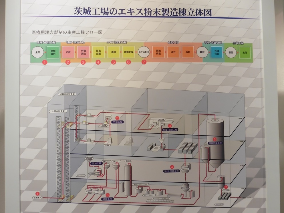 イラストからすぐに選ぶ 漢方エキス製剤処方ガイド すぐ探せる! 漢方エキス剤処方ハンドブック | 森 由雄 |本