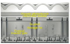 試作した3層分光型イメージセンサーの電子顕微鏡写真（出典：IEDMとソニーグループ）