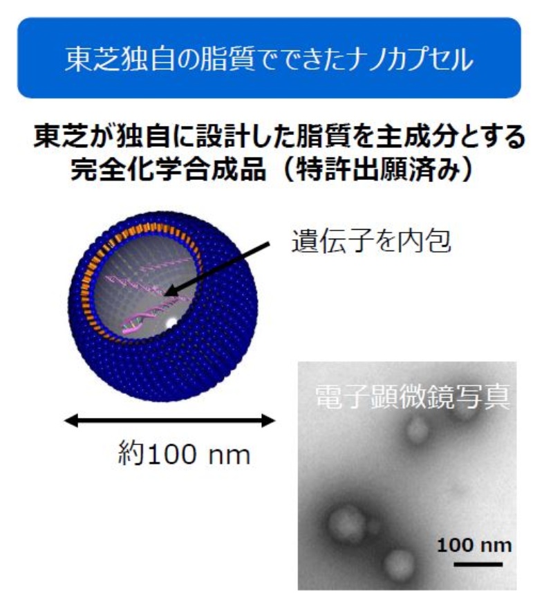 がんを選んで遺伝子届ける 治療用カプセル 東芝が機械学習で素材を選出 日経クロステック Xtech
