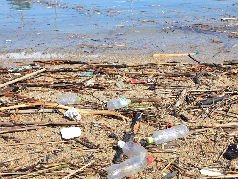 生分解性プラは悪者？　レジ袋有料化と新型コロナで二転三転