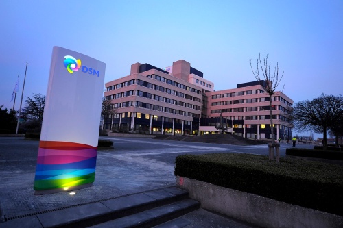 DSMの本社