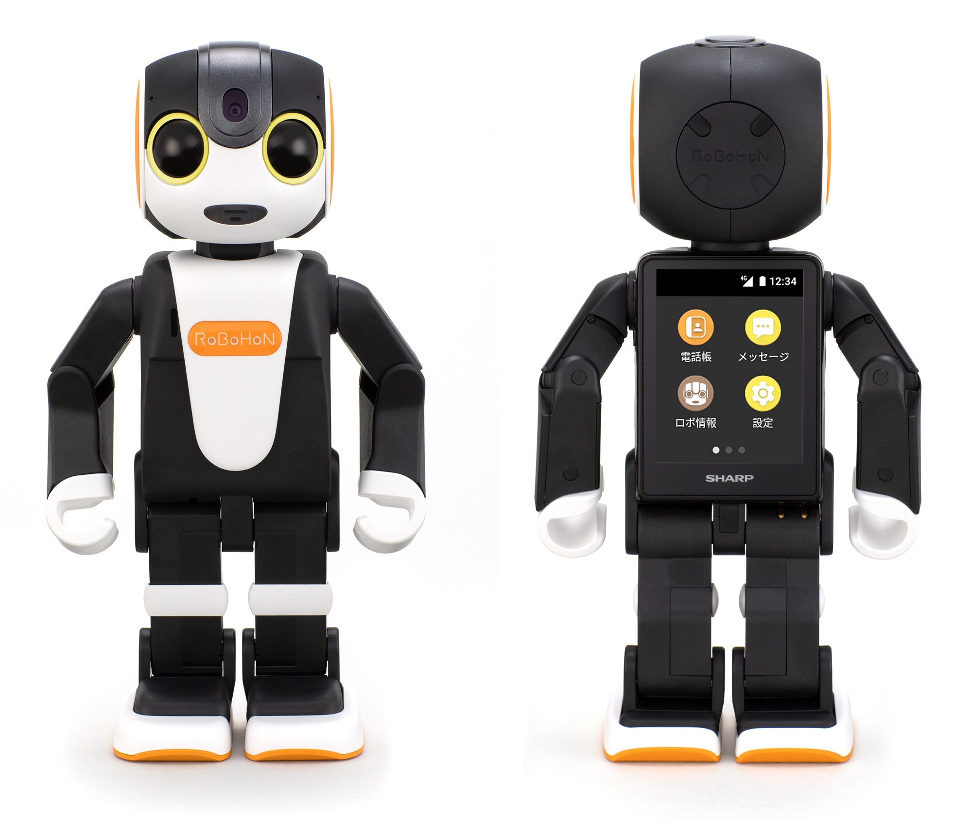 バブル終わった」コミュニケーションロボ、生き残りにもがき（2ページ