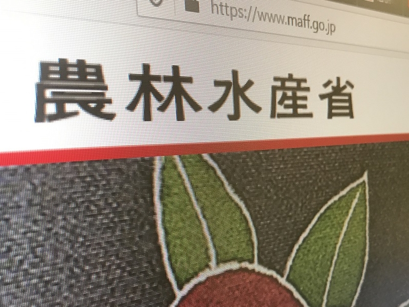 45歳1000万円 で霞が関dxへ 農水省が人材民間公募に踏み出す狙い 日経クロステック Xtech