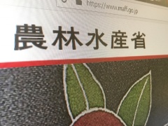45歳1000万円 で霞が関dxへ 農水省が人材民間公募に踏み出す狙い 日経クロステック Xtech 45歳1000万円 で霞が関dxへ 農水省が人材民間公募に踏み出す狙い 日経クロステック Xtech