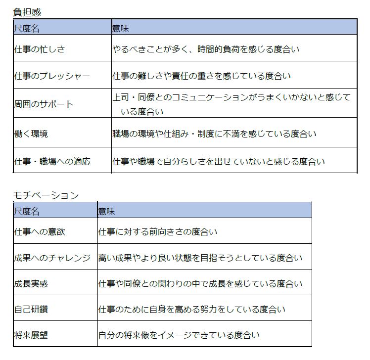 負担感とモチベーションの調査項目