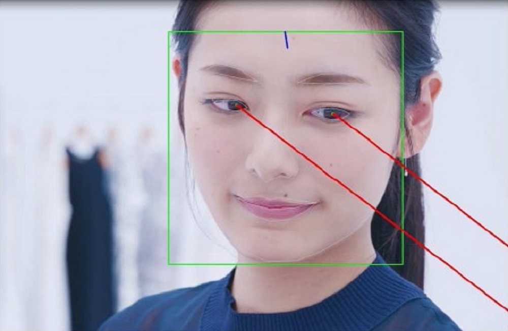 目の周辺の特徴点を高精度に検出して、視線の方向を推定できる