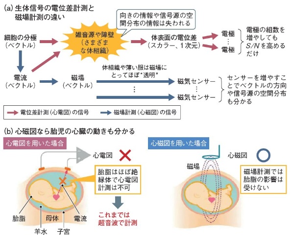 図1 電気のセンサーと磁気センサーの違い