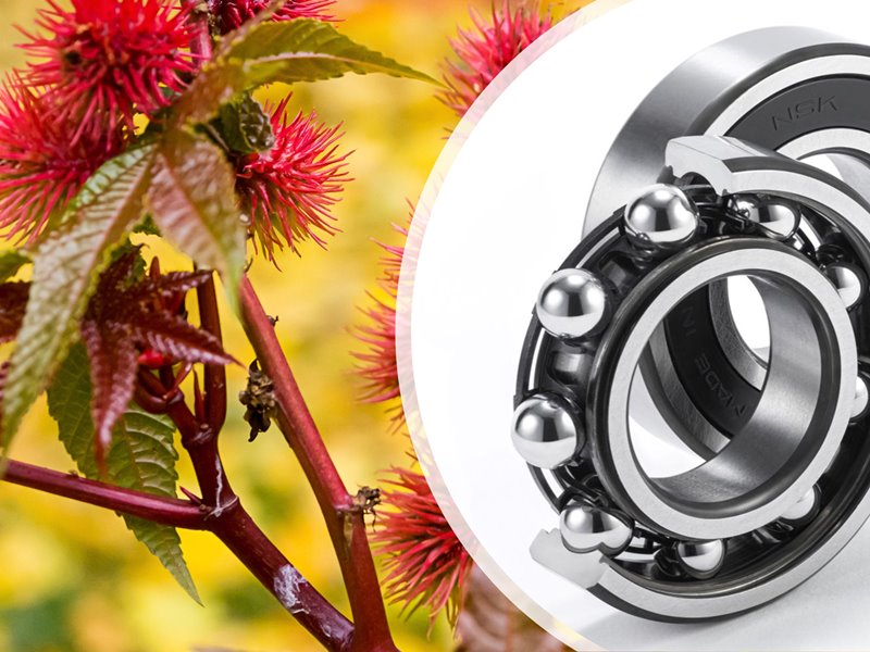 常識覆るバイオプラ、耐久性「PA66に匹敵」　NSKが軸受22年量産へ