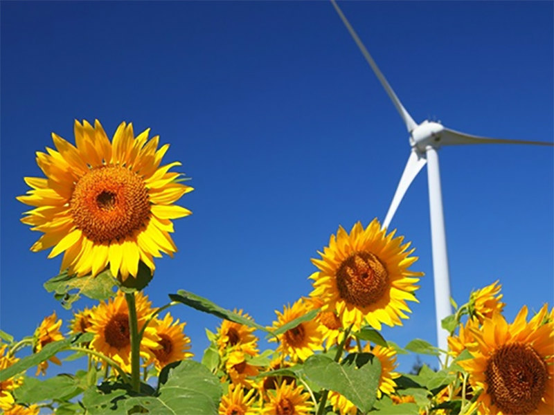 3.11から11年、ウクライナ侵攻が浮き彫りにした日本の不都合な真実