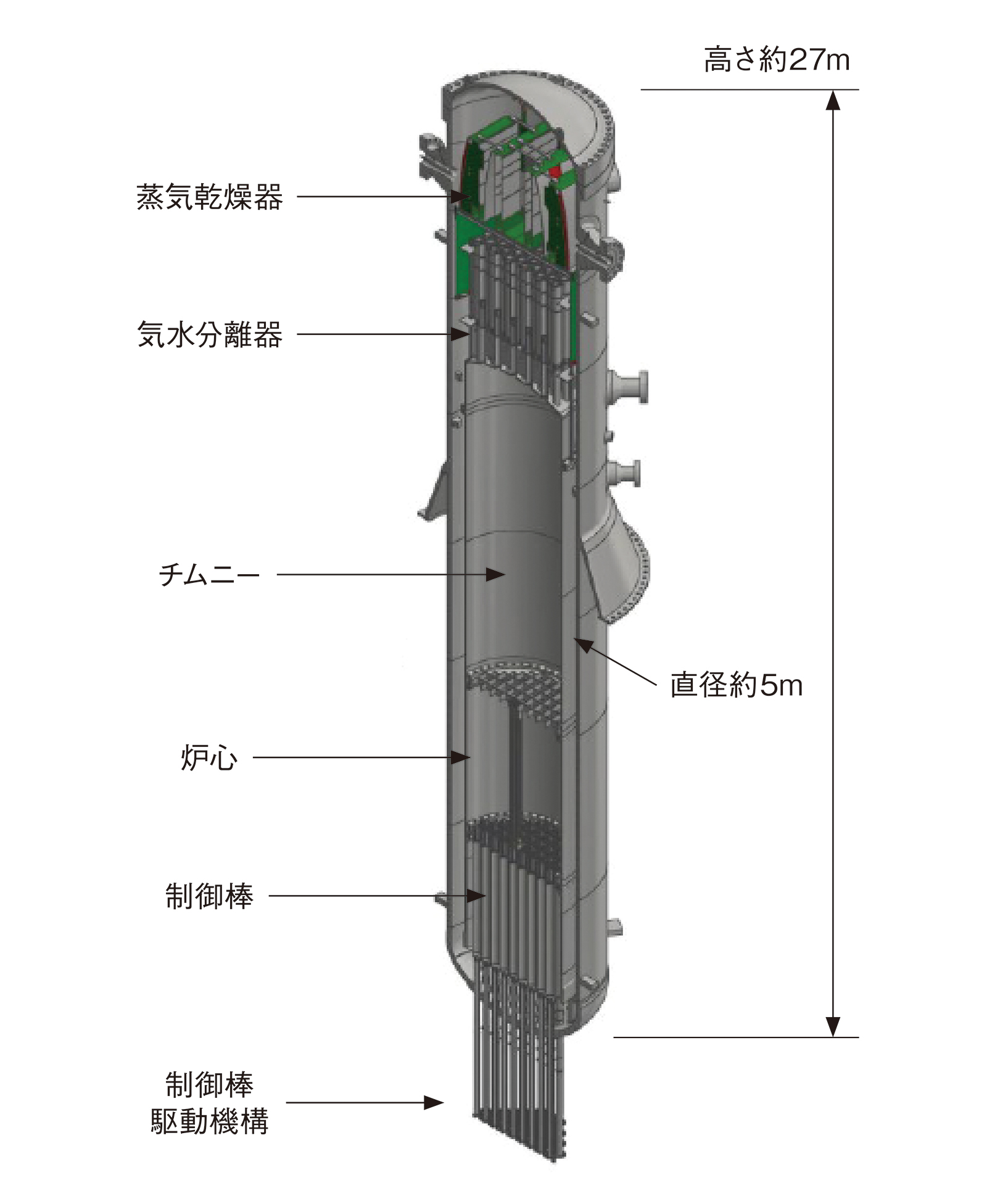 図3　 BWRX-300の圧力容器