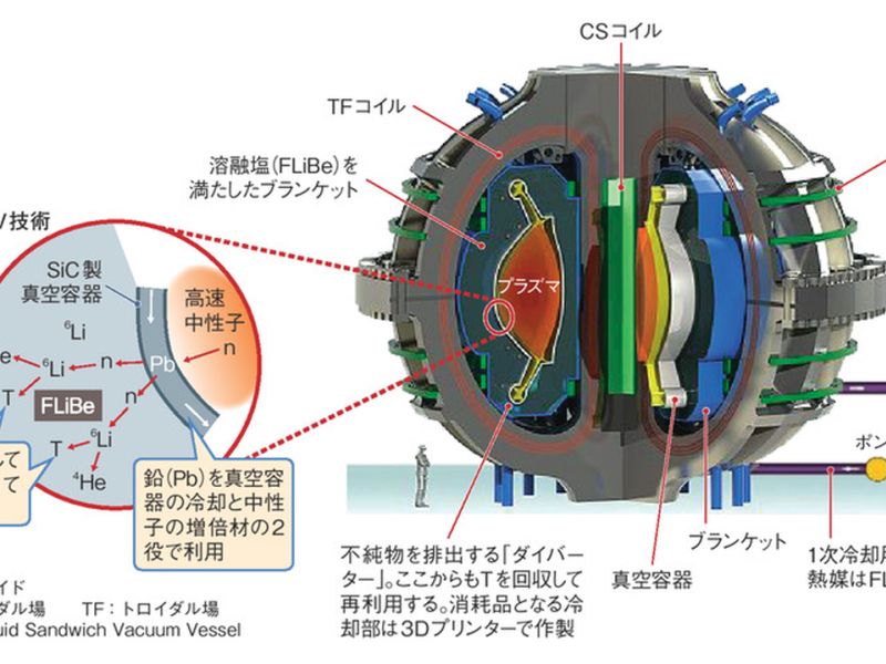 ミクロ世界の物理学 生命・常温核融合・原子転換 ミクロ世界の物理学 増補 生命・常温核融合・原子転換 新品本