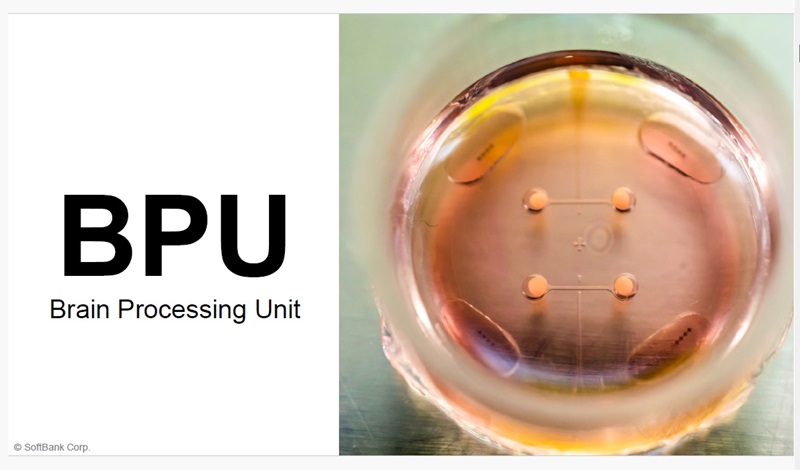 潜在脳力開発法 シルバ・マインド・コントロール法 BOC出版部 2025年最新】シルバ・マインド・コントロールの人気アイテム