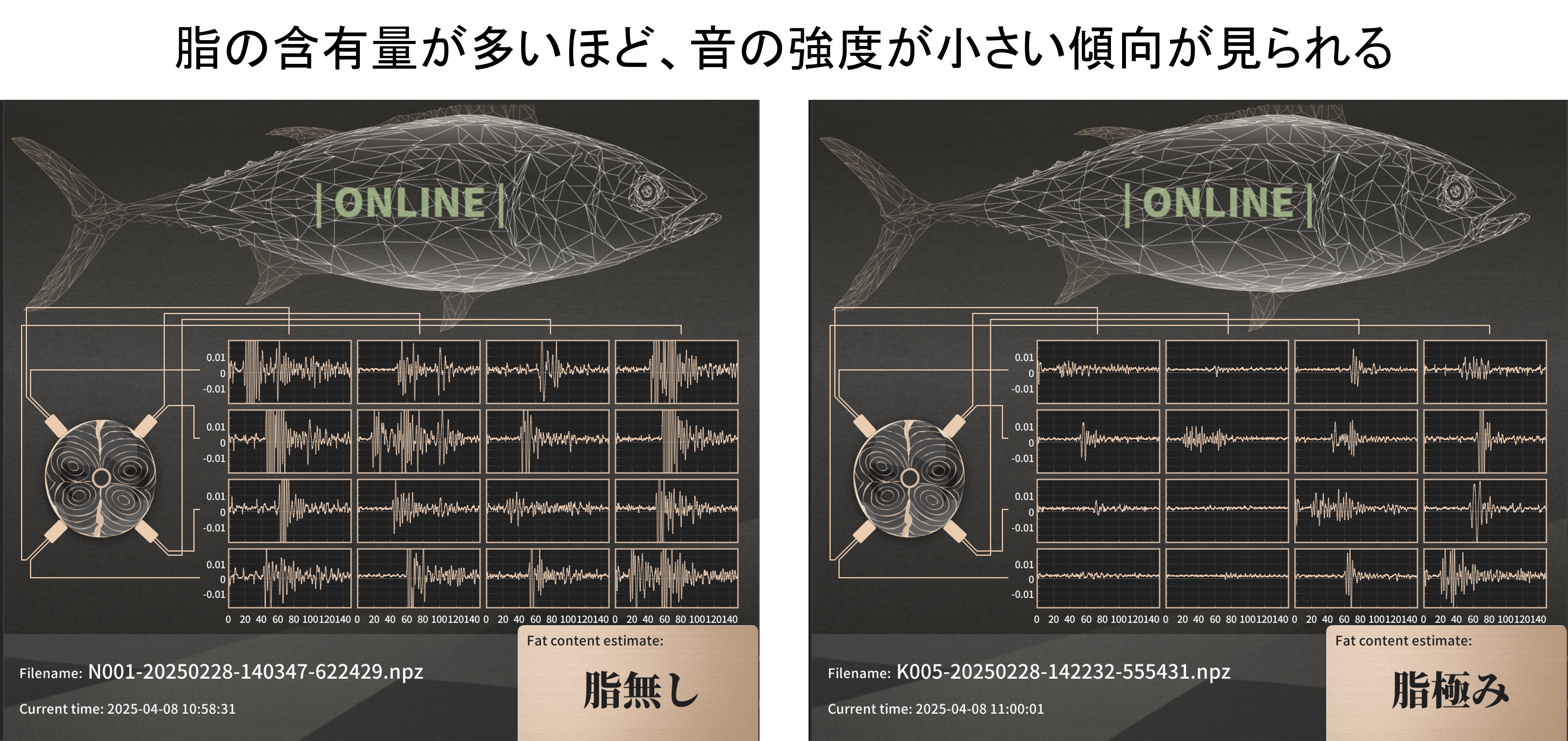 富士通など超音波AIで脂のりを非接触判定、冷凍マグロの全数検査