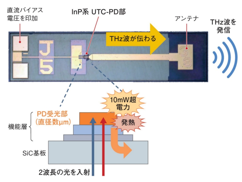 人気上昇中！ テラシャワーチップ テラヘルツ テラヘルツ波 量子波 量子発信機 人気上昇中！ テラシャワーチップ テラヘルツ テラヘルツ波 量子