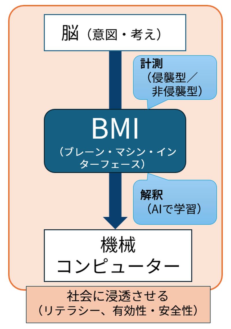脳の血管内に電極、AIで脳波を解釈 社会実装を目指すBMI研究の最新成果