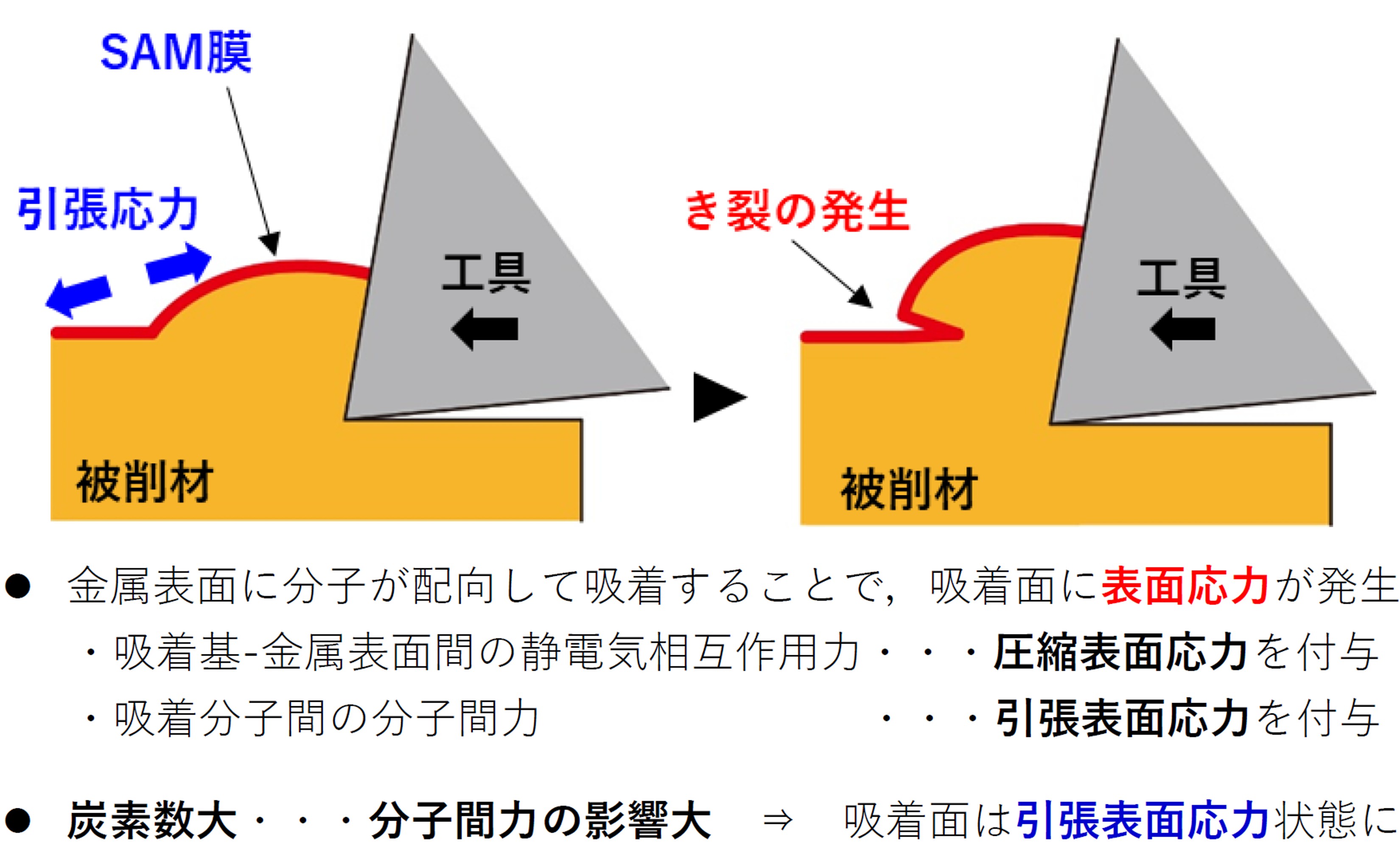 分子間力と表面力 難削材に分子膜、表面応力の方向で加工特性制御へ 大阪大学とプロテ