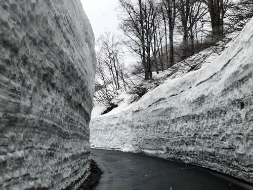 雪深い月山は、この時期になりようやく山開きです。