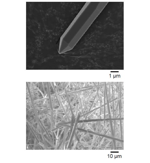 図1. AlN ウィスカーフィラーのSEM 像。各々は六角形の断面を持つ。AlN は六方晶であることから、単結晶であることが分かる。
