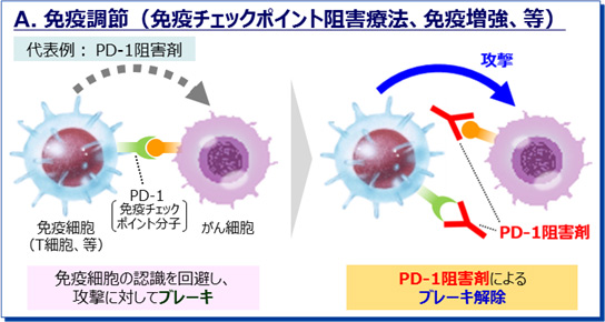 がん免疫療法 新たな併用療法の開発で治療効果の向上が期待 日本の企業 大学にも参入余地 日経クロステック Xtech