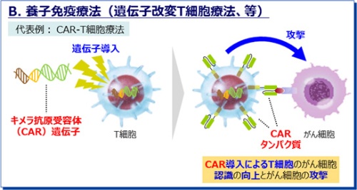 がん免疫療法、新たな併用療法の開発で治療効果の向上が期待、日本の企業・大学にも参入余地