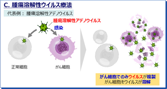 水溶性アガリクスの免疫抗ガン療法 臨床医が認め、ガン患者が実践