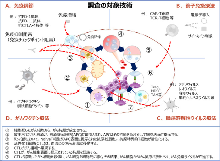 がん免疫療法、新たな併用療法の開発で治療効果の向上が期待、日本の