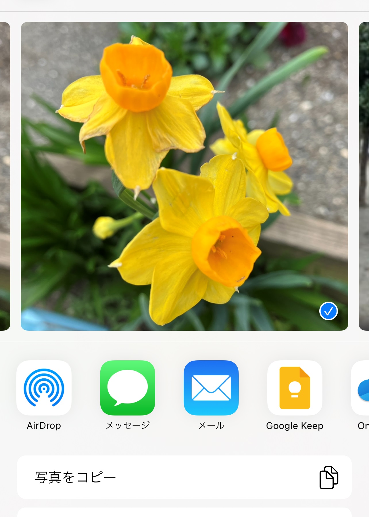 「AirDrop」を使えば自分のデバイスだけでなく近くにいる利用者のデバイスに写真などを送れる