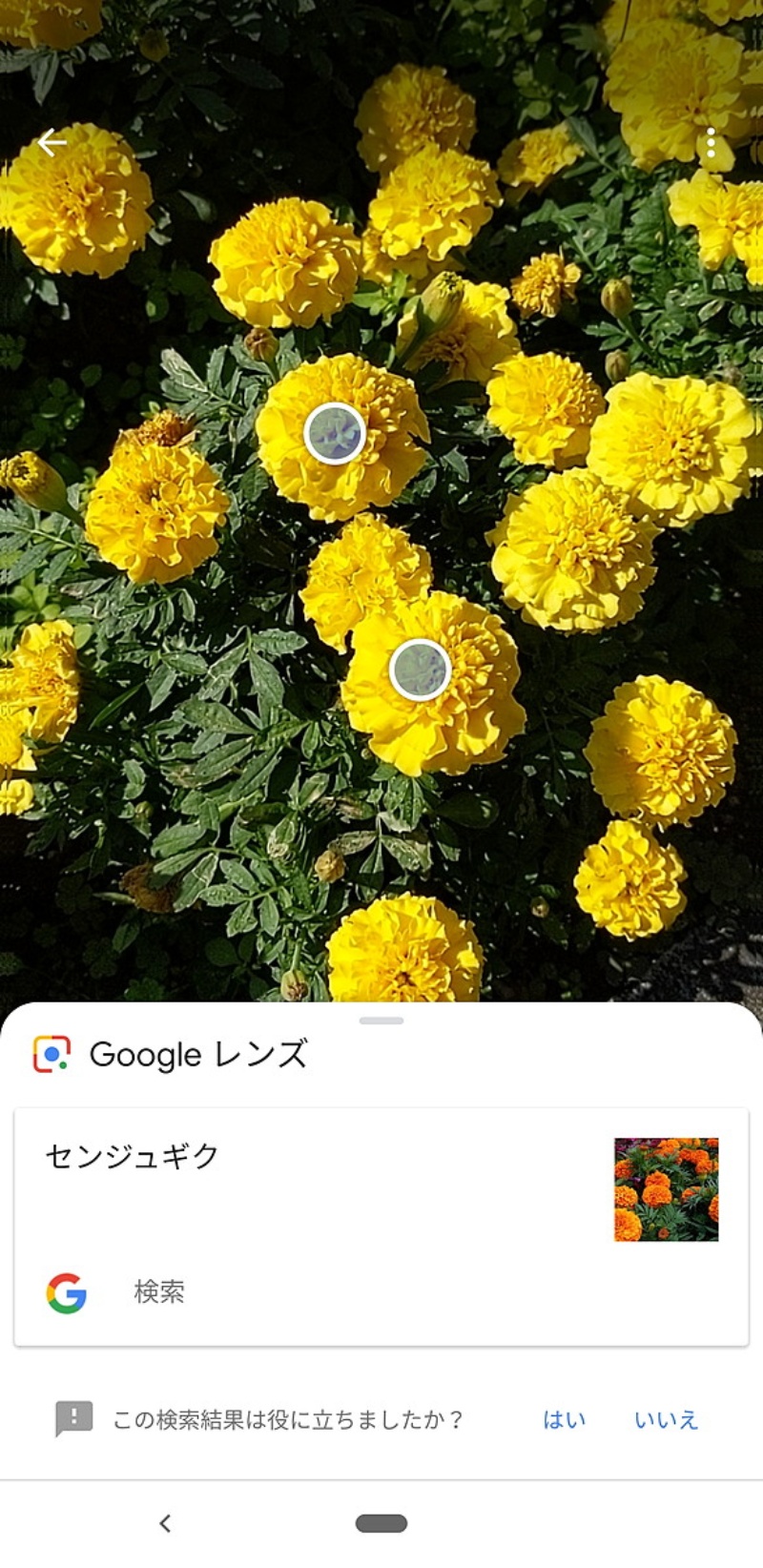 カメラと検索は期待以上だが割高感 Google Pixel 3 Xl 4ページ目 日経クロステック Xtech カメラと検索は期待以上だが割高感 Google Pixel 3 Xl 4ページ目 日経クロステック Xtech