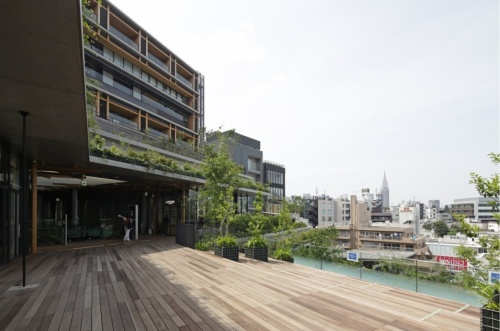 南敷地側の建物3階のテラスから、北側敷地を見る(写真:安川 千秋)