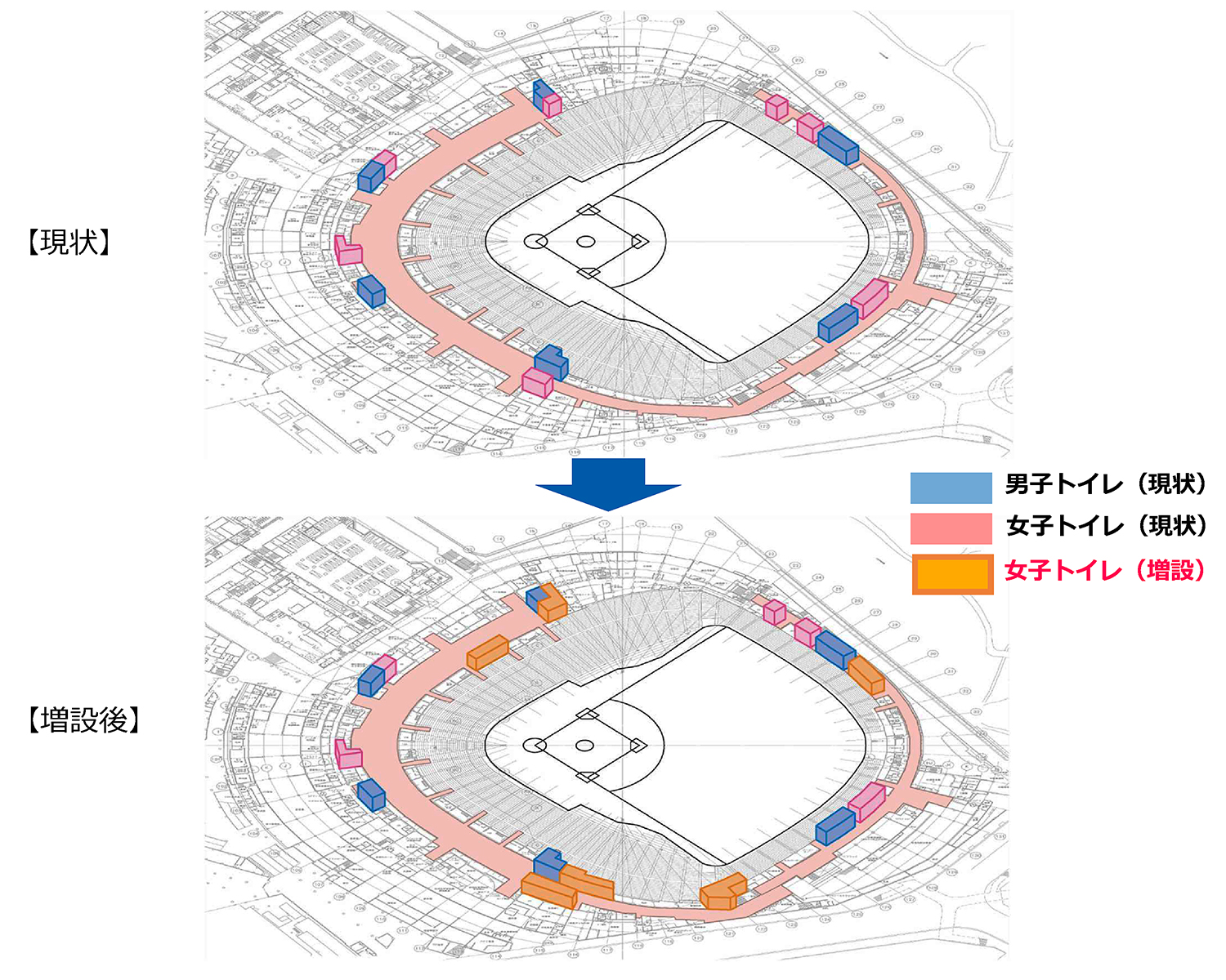 今季から来季の対策として、トイレの行列解消や混雑緩和のために、女子トイレを現在の1.6倍の313穴、洗面台を3倍の220台に増設する（資料：東京ドーム）