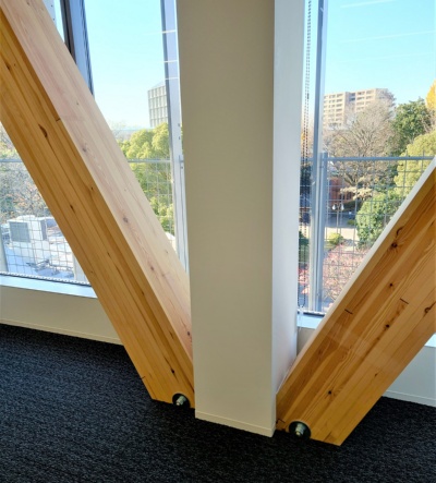 石こうボードで覆った白い木柱と、木を露出させたブレースの取り合い。木ブレースは内部の芯材にボルトで留め付けている(写真:日経クロステック)