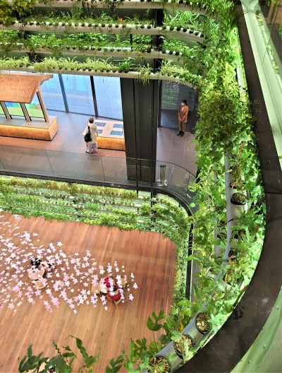 ライトアップした水耕栽培緑化システムの植物が吹き抜けを彩る(写真:日経クロステック)