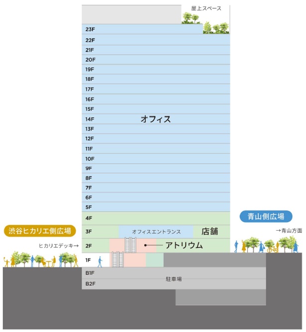 フロア構成。低層部に商業施設、高層部にオフィスを設ける（出所：渋谷二丁目17地区市街地再開発組合、東急）