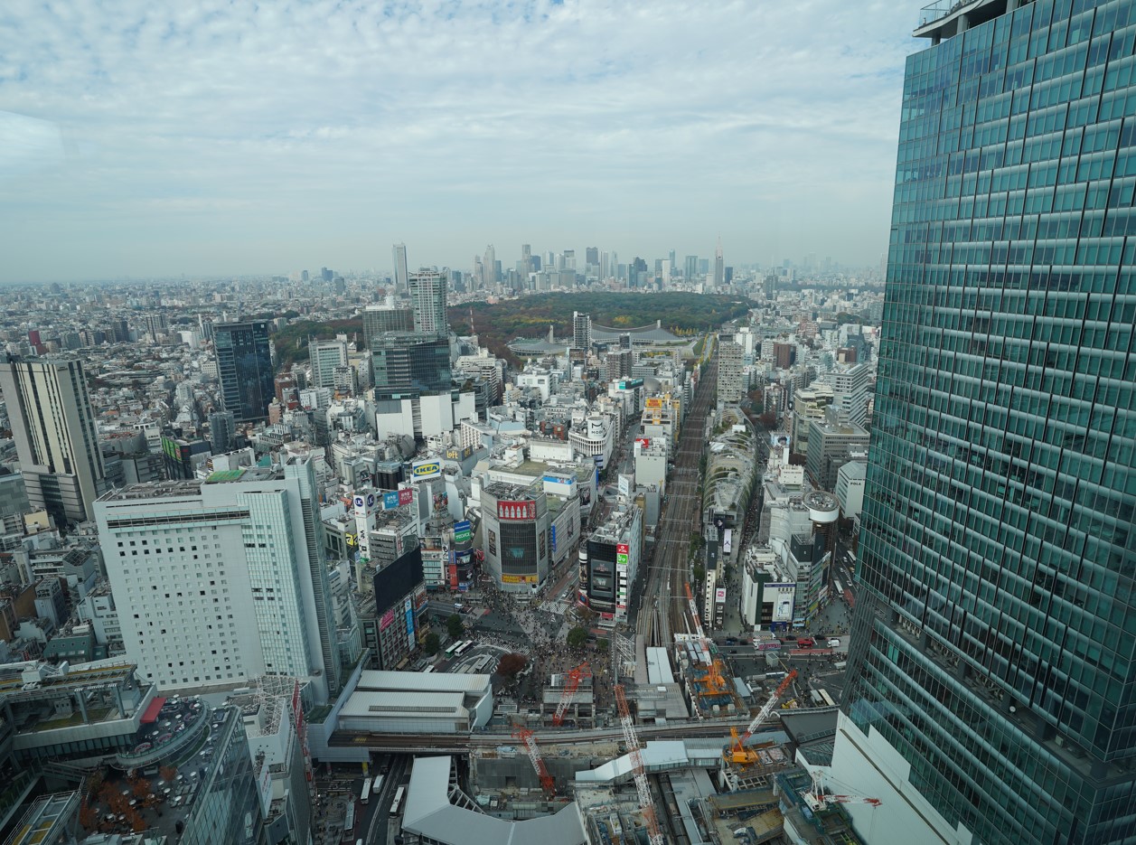 SHIBUYAタワー37階から見渡す渋谷の街。写真上部には代々木公園、下部には渋谷駅前のスクランブル交差点が見える（写真：日経クロステック）