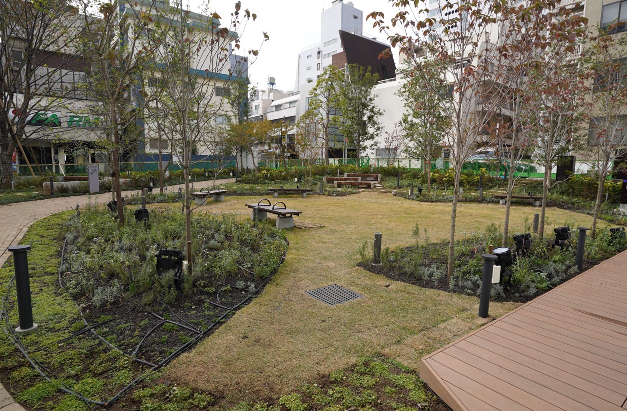 SAKURAタワーの貫通通路を抜けると、「はぐくみSTAGE」と呼ばれる屋外広場が現れる。果樹園や菜園を設けた他、シンボルツリーとなる山桜を植えた（写真：日経クロステック）