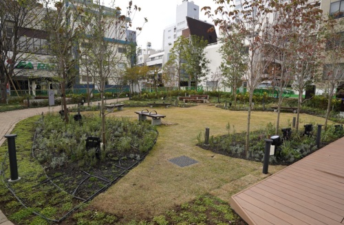 SAKURAタワーの貫通通路を抜けると、「はぐくみSTAGE」と呼ばれる屋外広場が現れる。果樹園や菜園を設けた他、シンボルツリーとなる山桜を植えた(写真:日経クロステック)