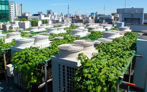 室外機芋緑化システムのイメージ（写真：三井不動産、竹中工務店）