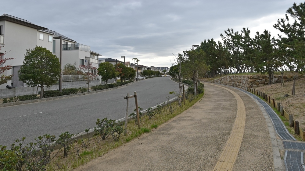  南芦屋浜の南側に立ち並ぶ戸建て住宅。写真右の緑地の向こうは大阪湾だ（写真：日経コンストラクション）