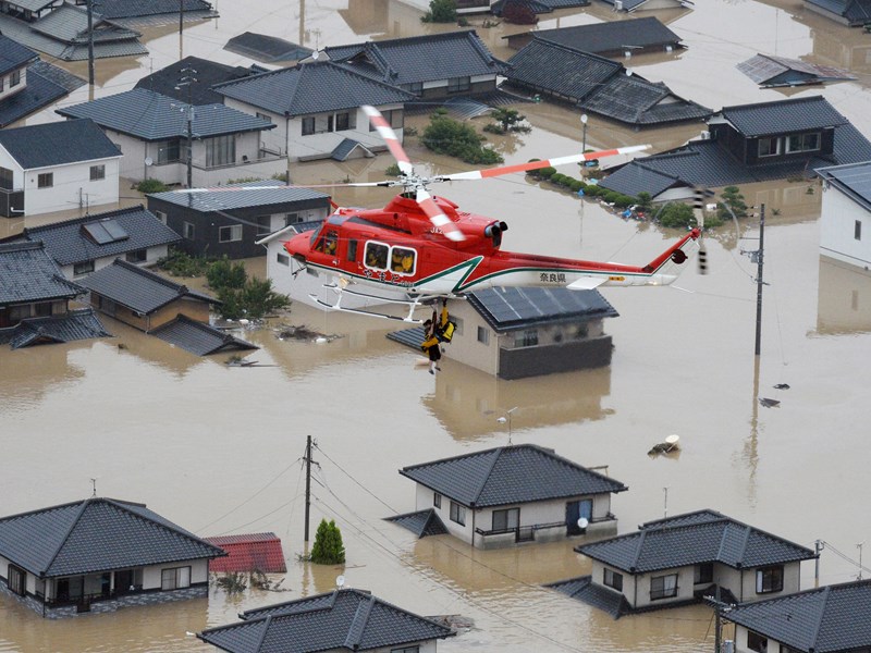 水害は人災だ: 森は死んでいる hq720.jpg?sqp=-