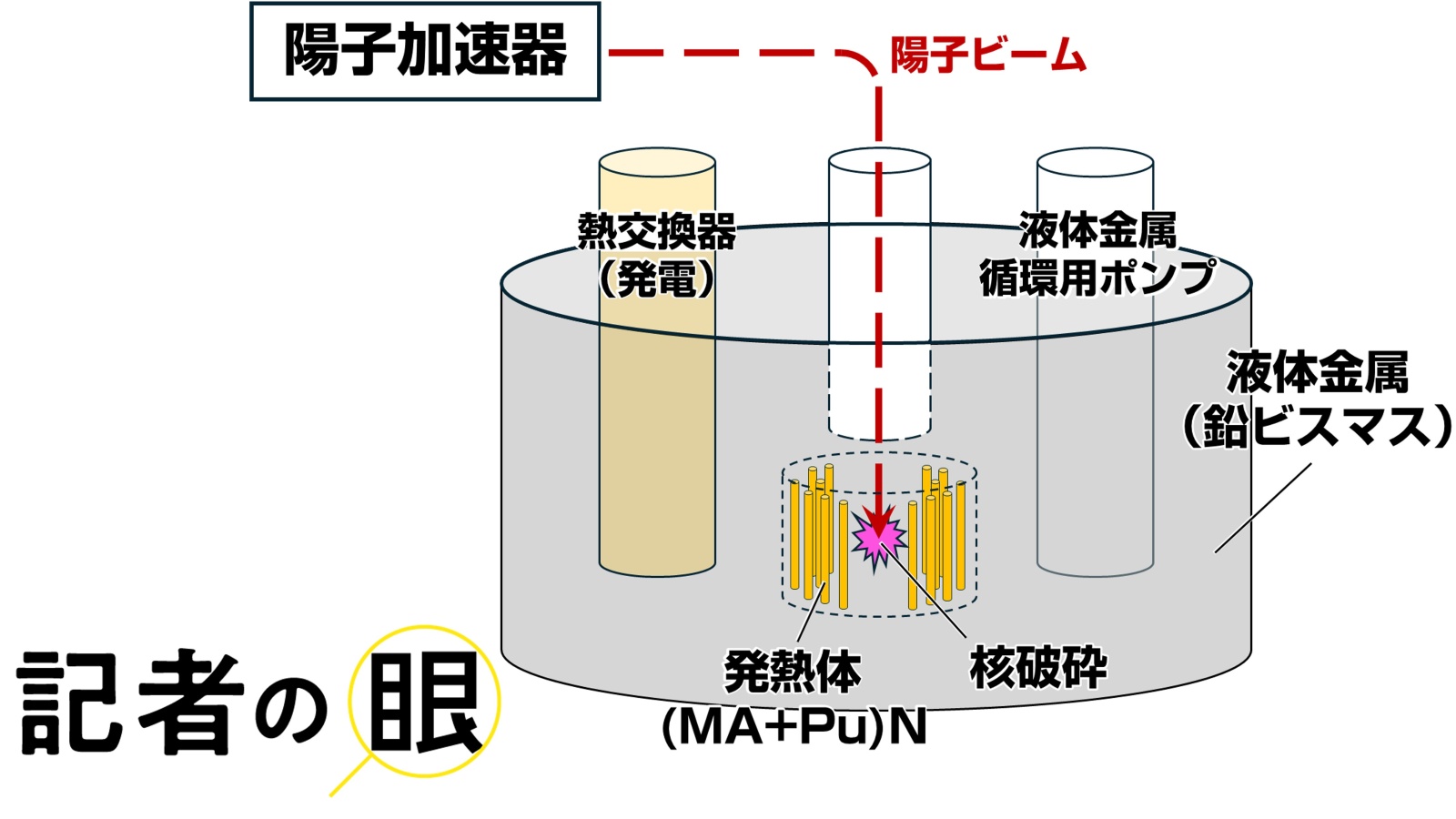 核のごみ、加速器と液体金属の「核破砕」で再利用　半減期1万分の1に
