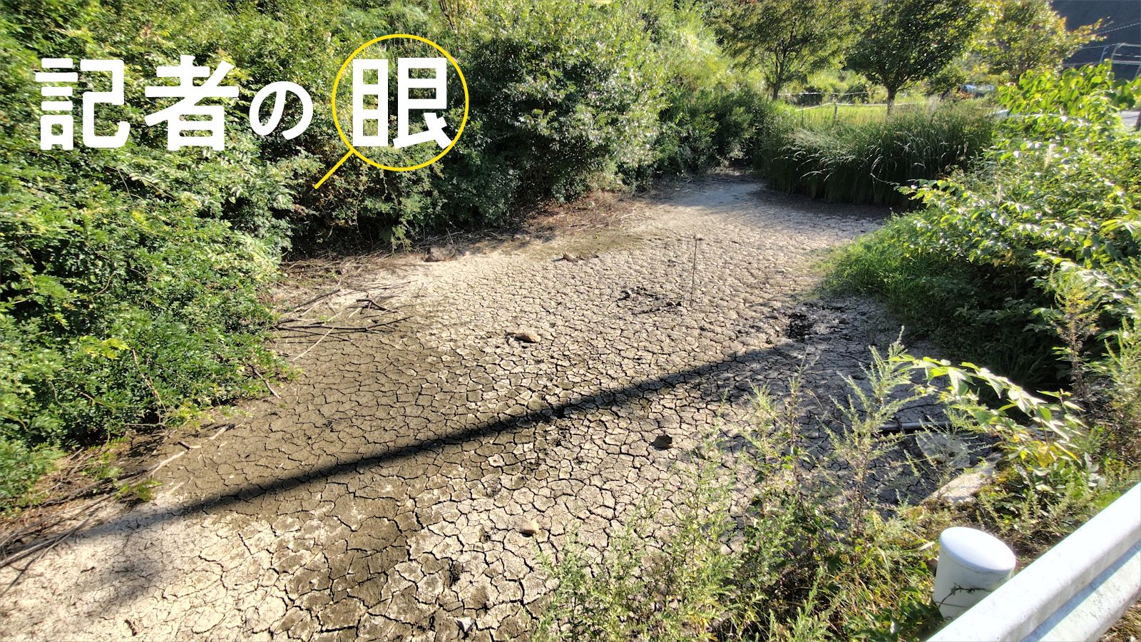 川勝前知事は正しかった？　「リニアで井戸枯れ」報道受け静岡に脚光