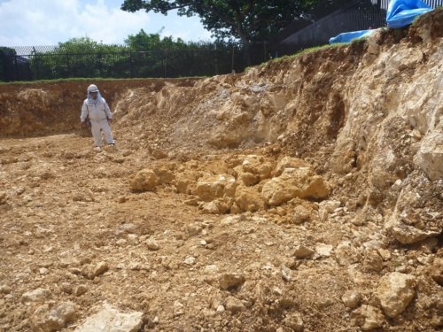 琉球石灰岩の地表面を掘削した現場。硬い岩盤が混じる（写真：大和探査技術）
