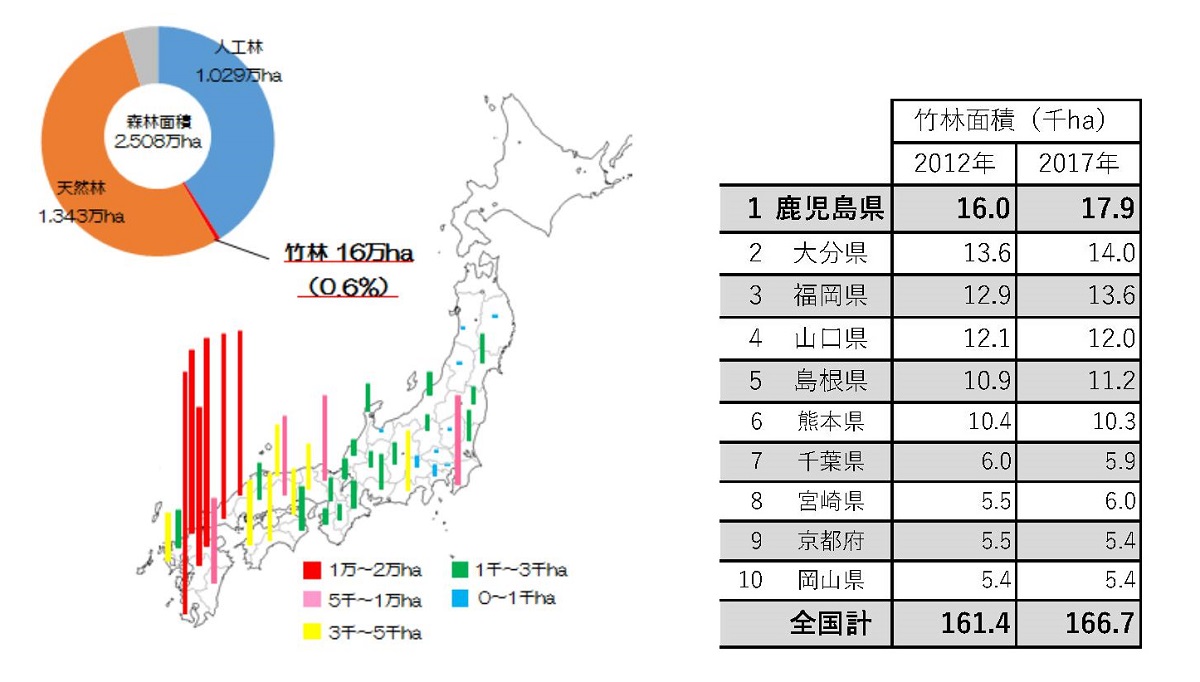 竹産業」で地方創生、竹害に悩む地方都市の挑戦 | 日経クロステック（xTECH）