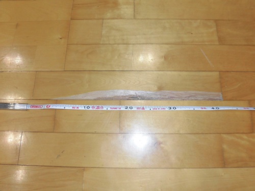 三芳町総合体育館でフローリングが剥がれた箇所。木の繊維に沿って長さ42cmの木片が剥離し、30cm分が人に刺さった（写真：三芳町）