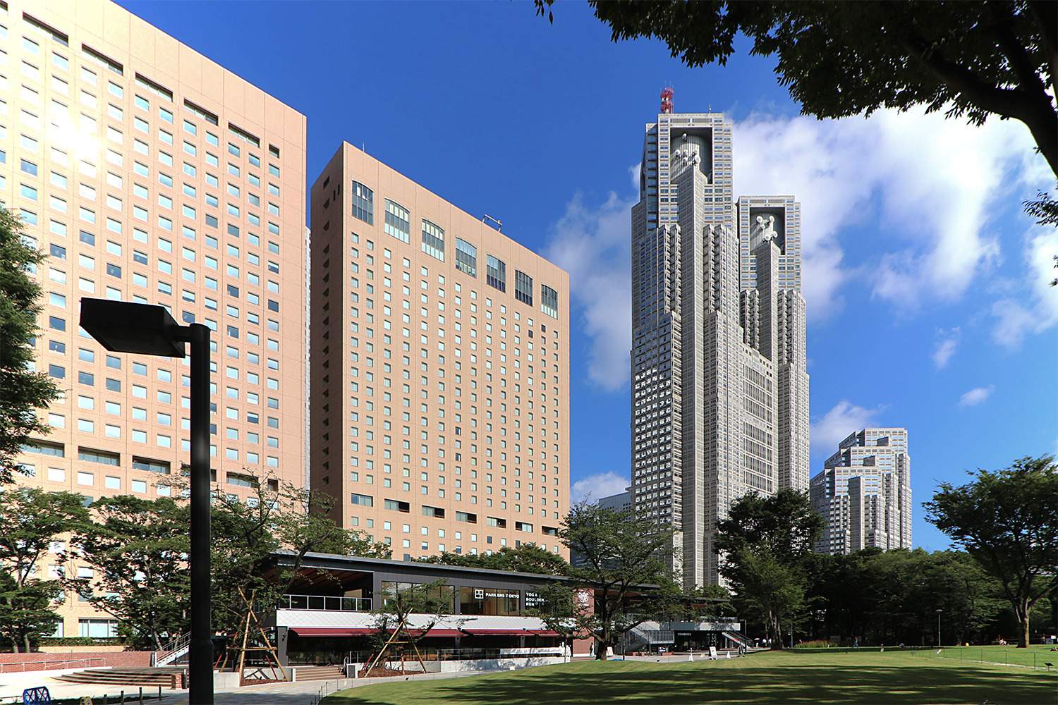 西新宿エリアの西部に位置する新宿中央公園から都庁舎方向を見る。交流拠点施設「SHUKNOVA（シュクノバ）」（写真左手前）が20年7月に公園内に開業している（写真：日経クロステック）