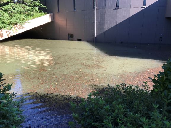 台風による浸水から1年 川崎市市民ミュージアム 存続の危機 日経クロステック Xtech