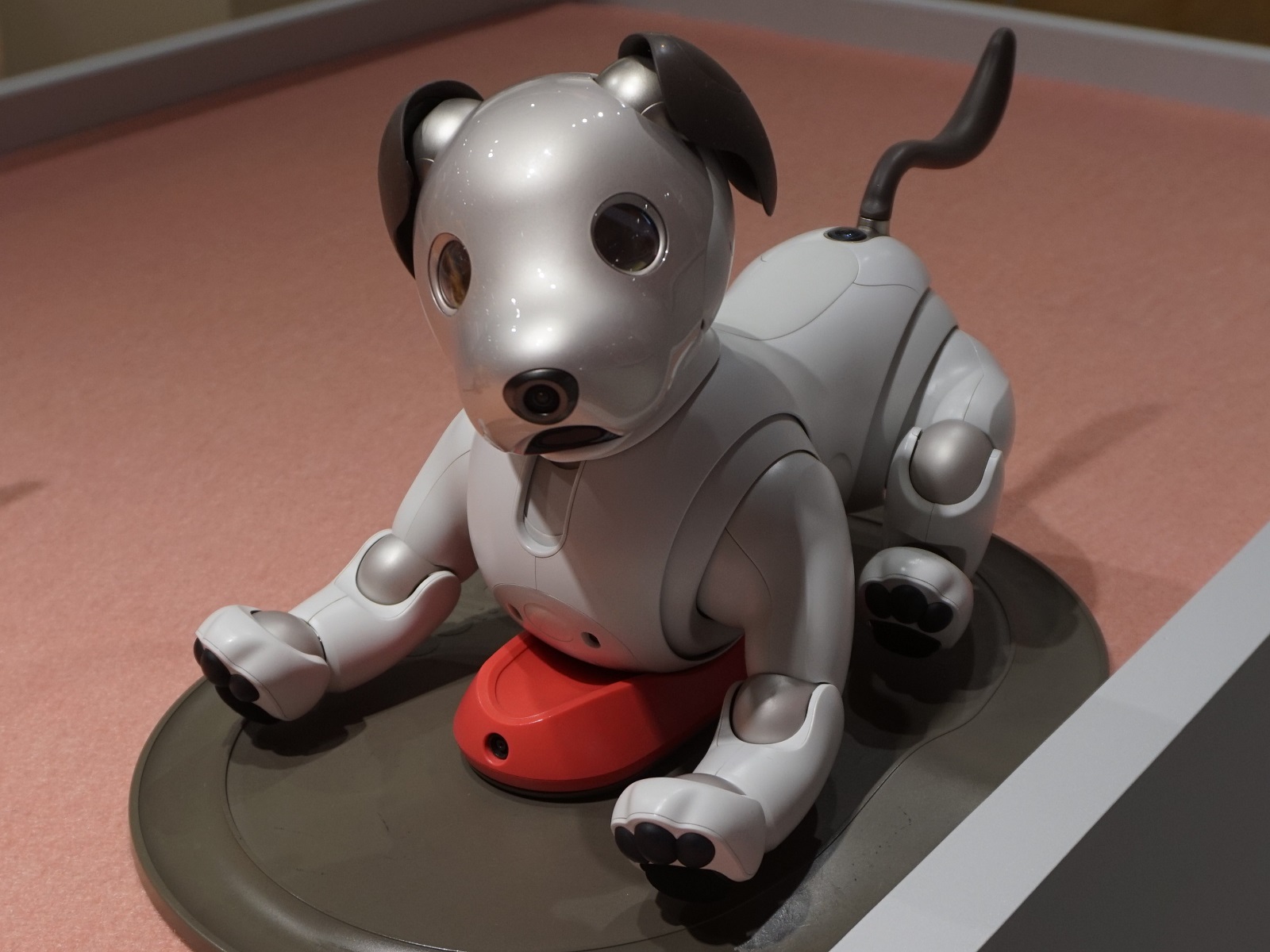 aibo 高い ストア 他のおすすめペット ロボット