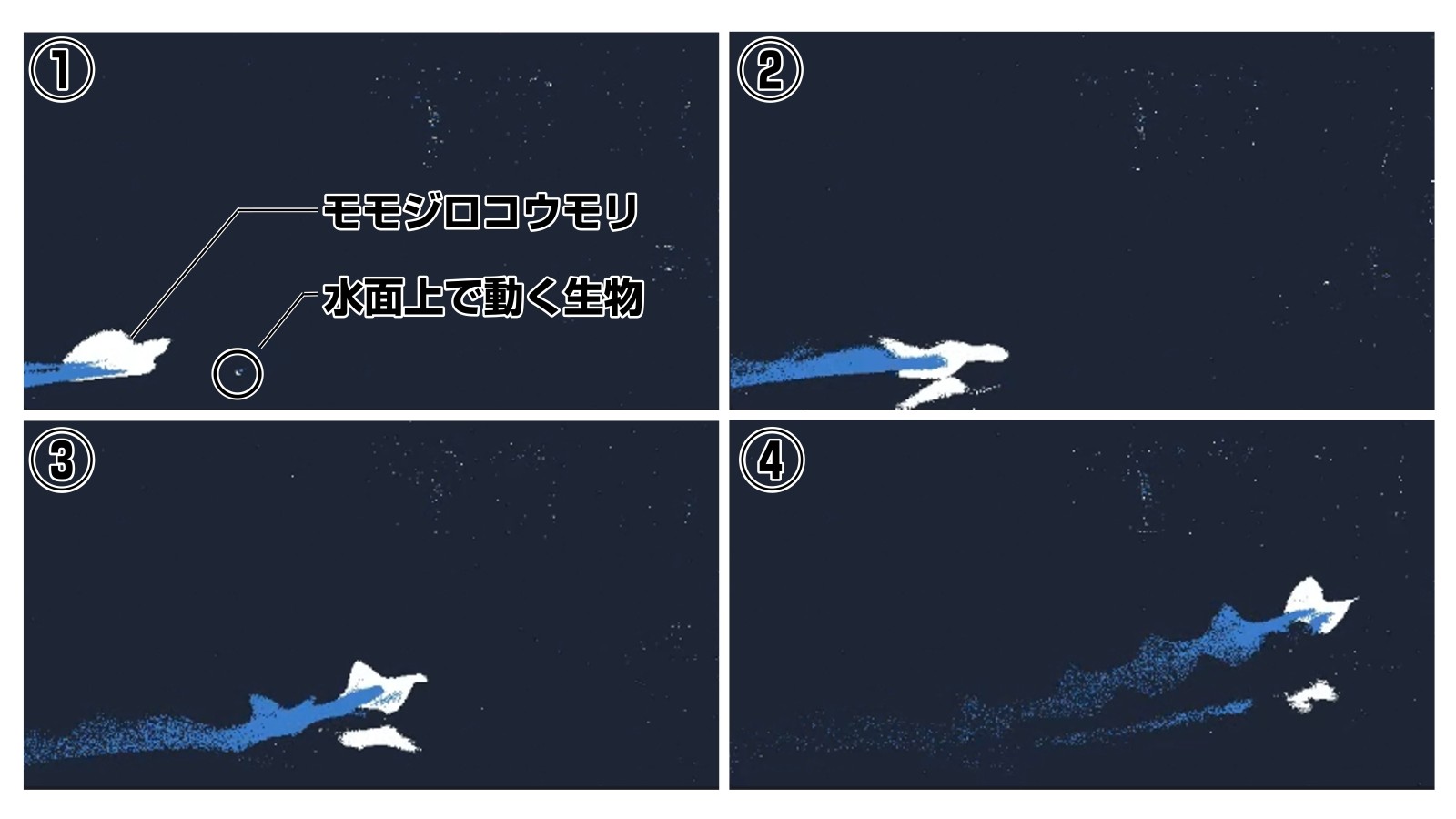 イベントカメラは野外調査の革命児となるか、元ポスドク記者の嫉妬